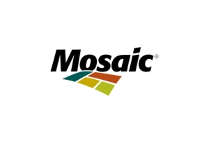 Logo Mosaic